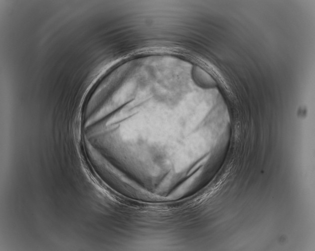 X0000097860844200803281310