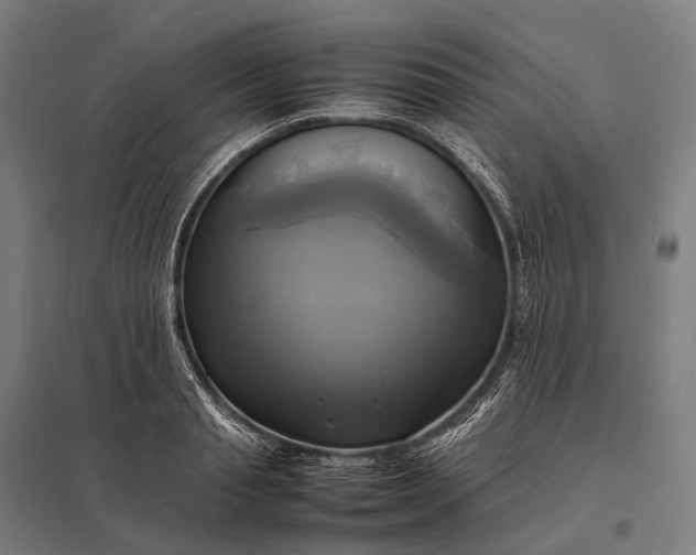 X0000097860845200803281310