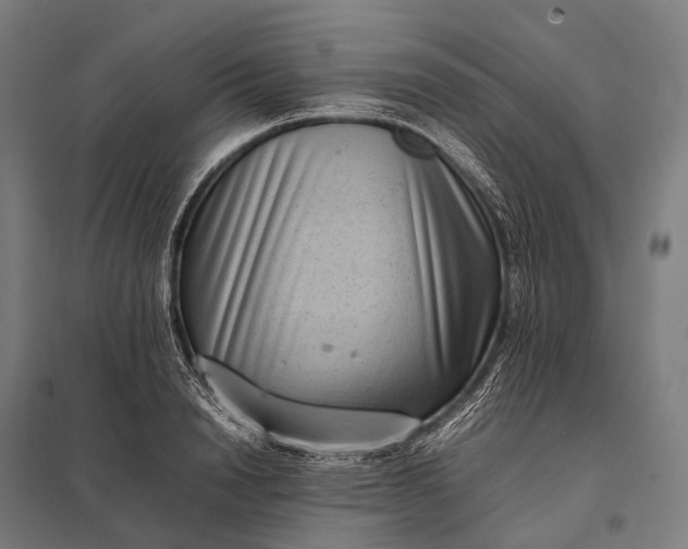 X0000097860846200803281310