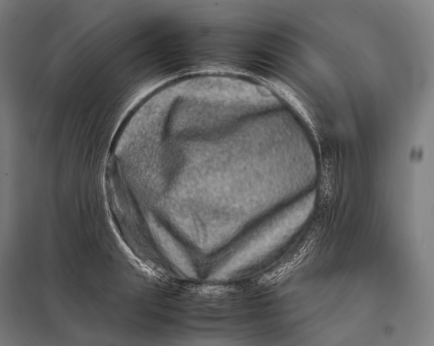 X0000097860847200803281310