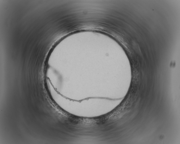 X0000097860848200803281310