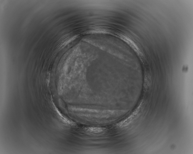 X0000097860849200803281310