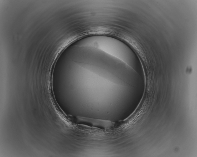 X0000097860850200803281310