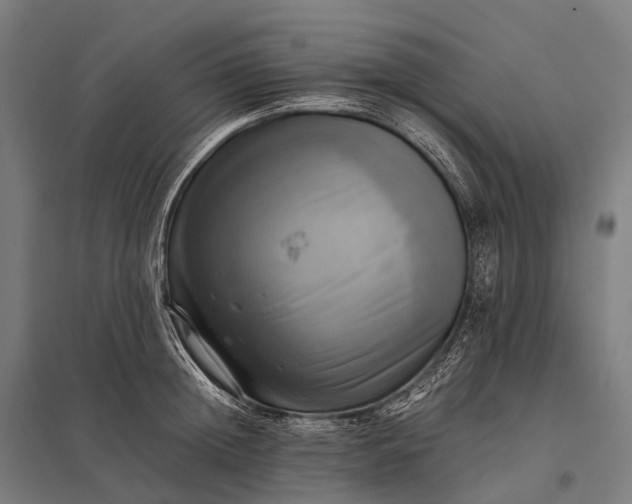 X0000097860852200803281310