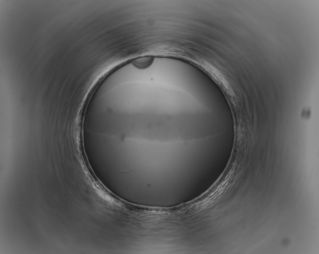 X0000097860854200803281310