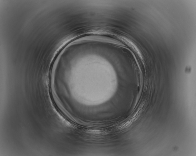 X0000097860855200803281310