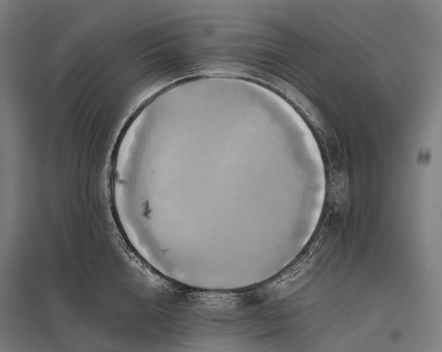 X0000097860856200803281310