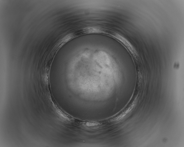 X0000097860857200803281310