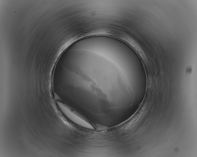 X0000097860858200803281310