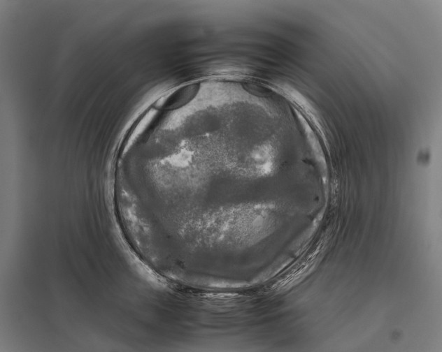 X0000097860859200803281310