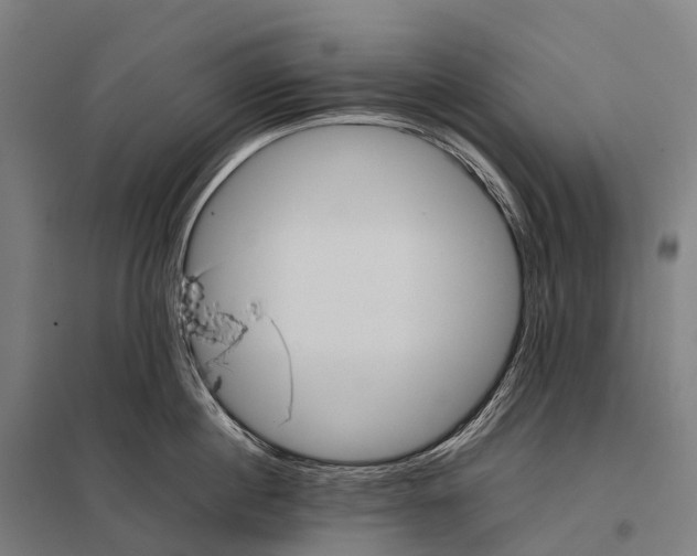 X0000097860860200803281310