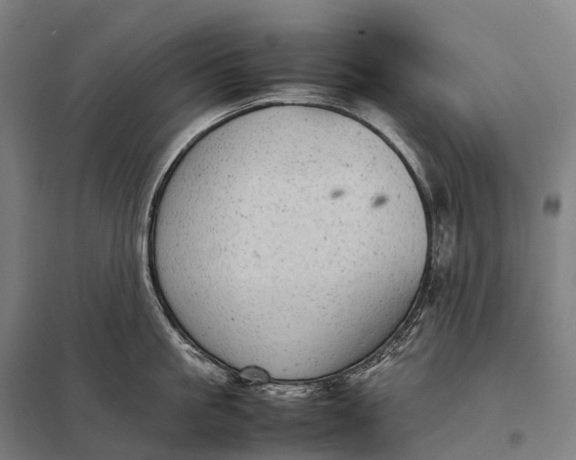 X0000097860861200803281310