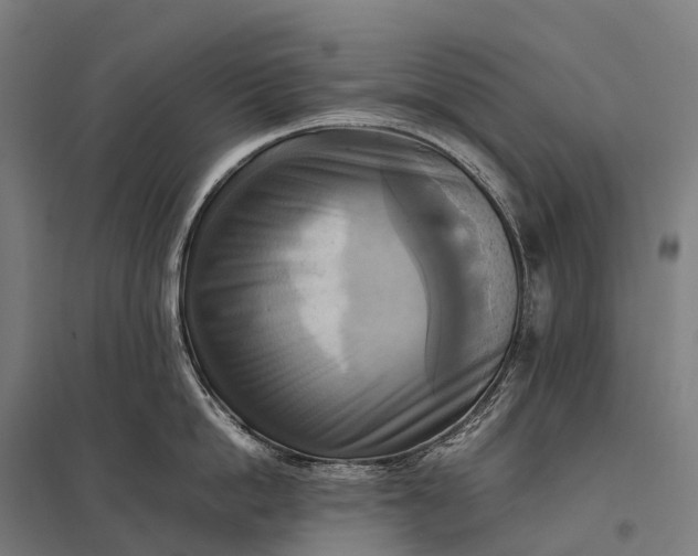 X0000097860862200803281310