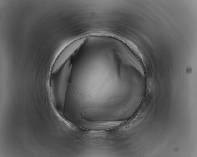 X0000097860863200803281310