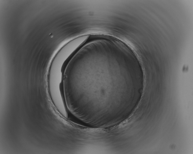 X0000097860864200803281310