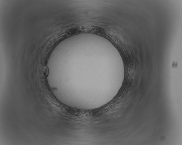 X0000097860865200803281310