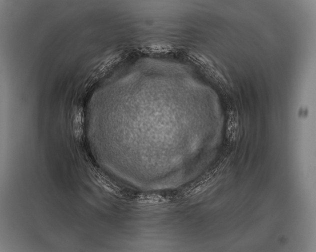 X0000097860866200803281310