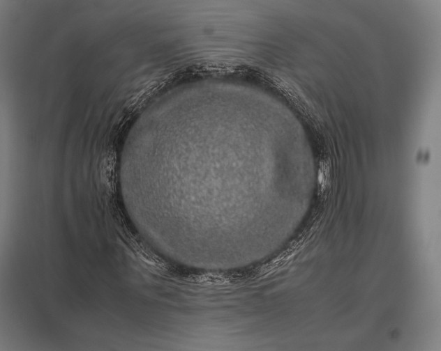 X0000097860867200803281310