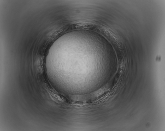 X0000097860868200803281309