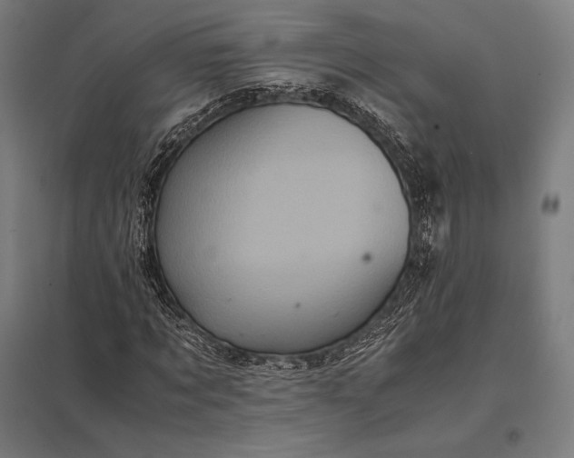 X0000097860869200803281309