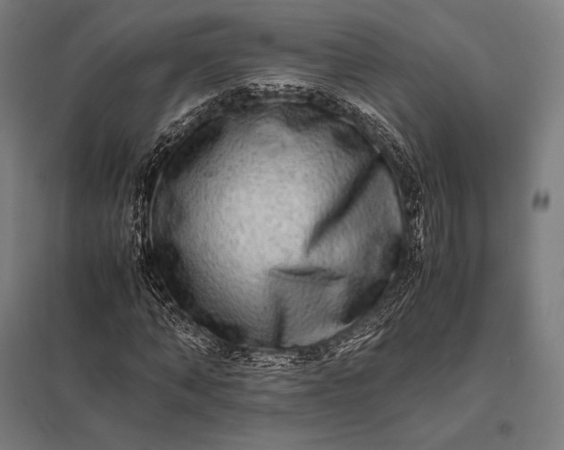 X0000097860870200803281309