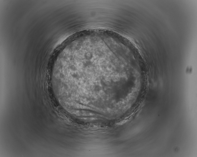 X0000097860871200803281309