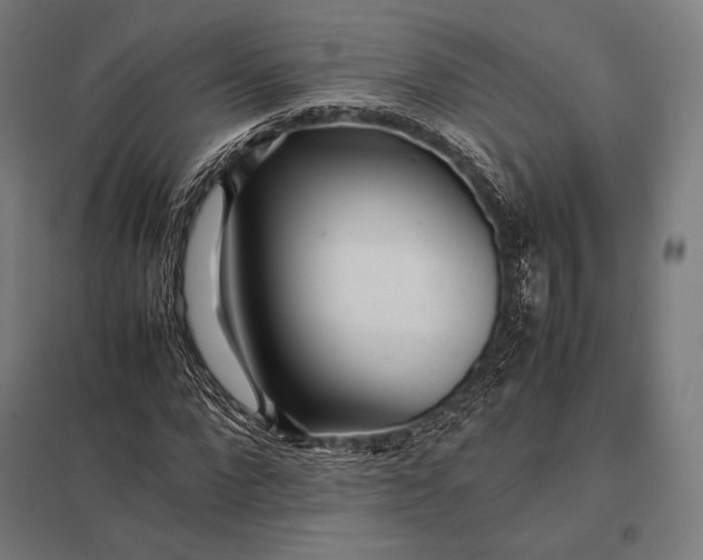 X0000097860872200803281309