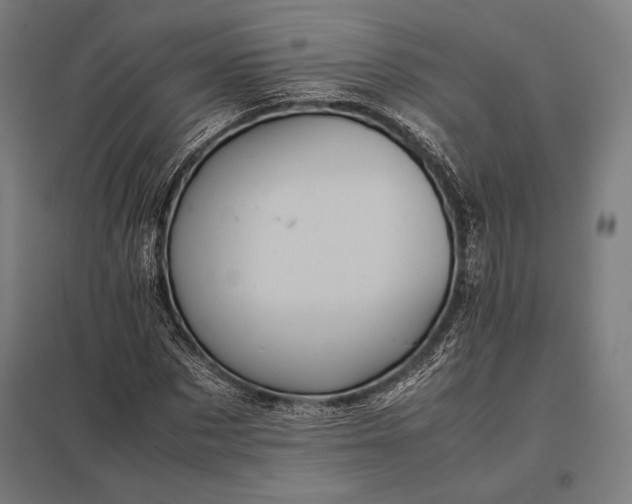 X0000097860873200803281309