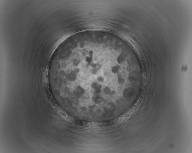 X0000097860875200803281309