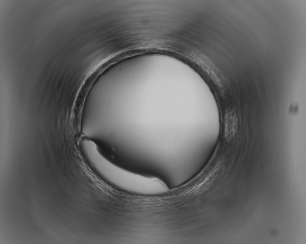 X0000097860876200803281309