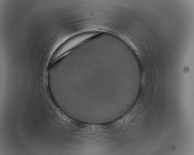 X0000097860877200803281309