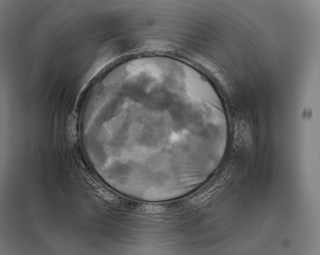 X0000097860878200803281309