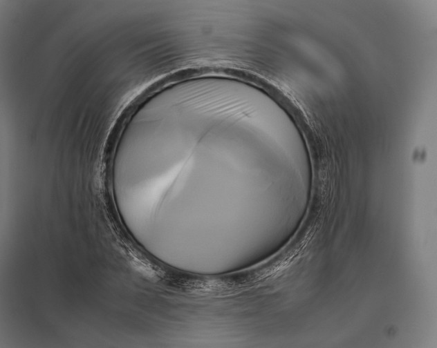 X0000097860879200803281309