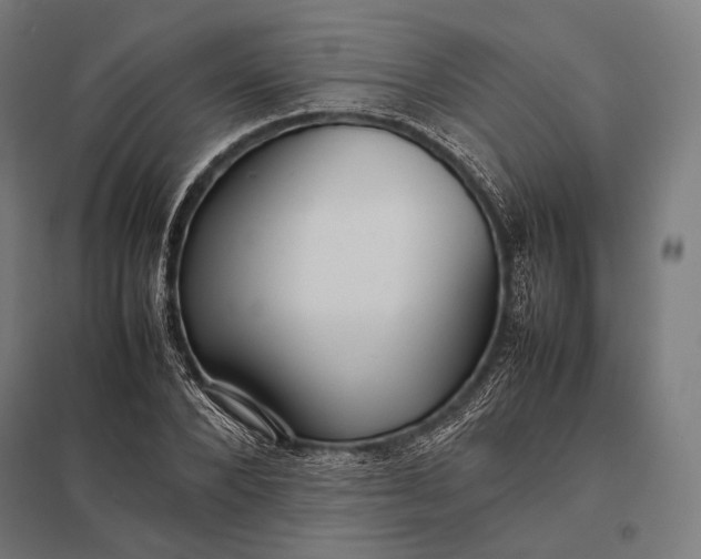 X0000097860880200803281309