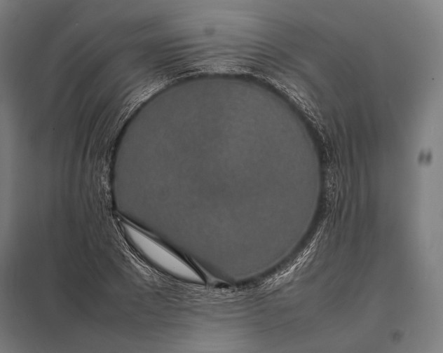 X0000097860881200803281309