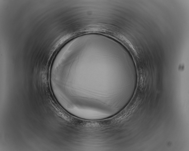 X0000097860882200803281309