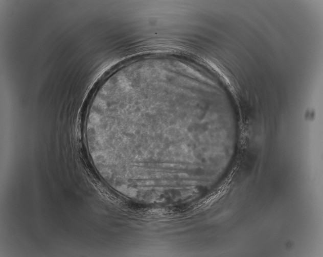 X0000097860883200803281309