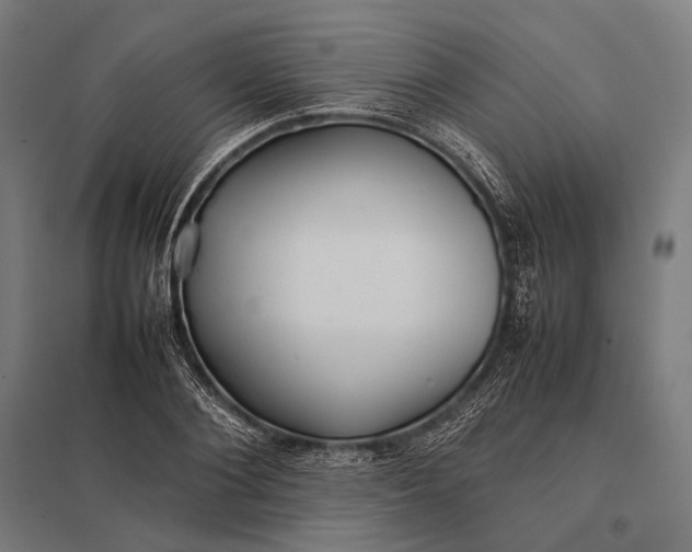 X0000097860884200803281309