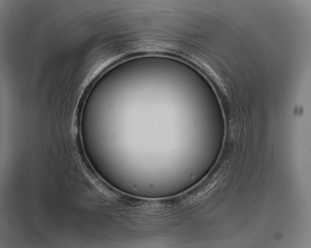 X0000097860885200803281309