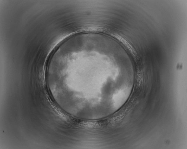 X0000097860886200803281309