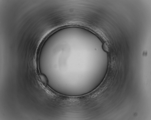 X0000097860888200803281309