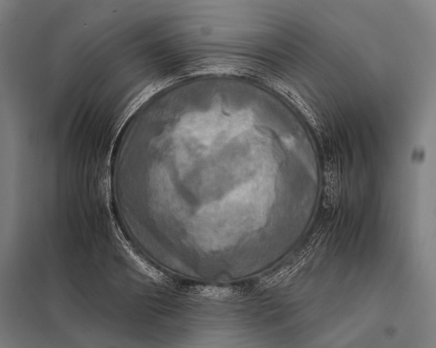 X0000097860890200803281309