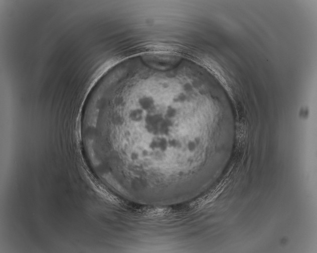 X0000097860891200803281309