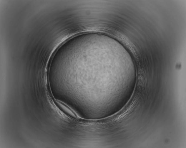 X0000097860892200803281309