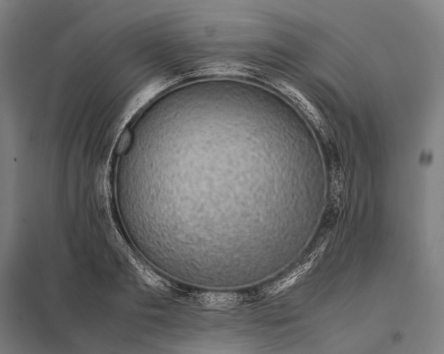 X0000097860893200803281309