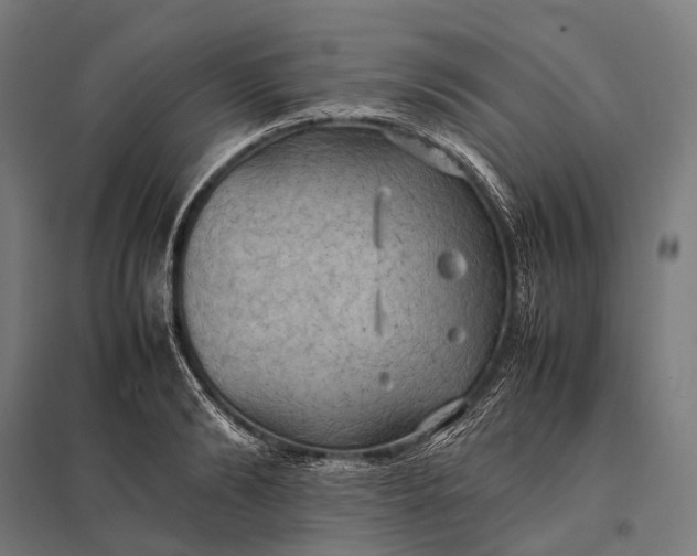 X0000097860894200803281309