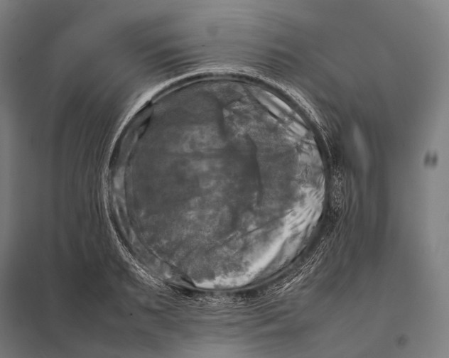 X0000097860895200803281309