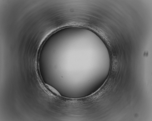 X0000097860896200803281309