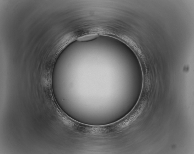 X0000097860897200803281309