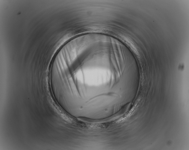 X0000097860899200803281309